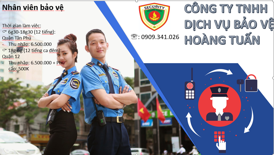 lĩnh vực hoạt động